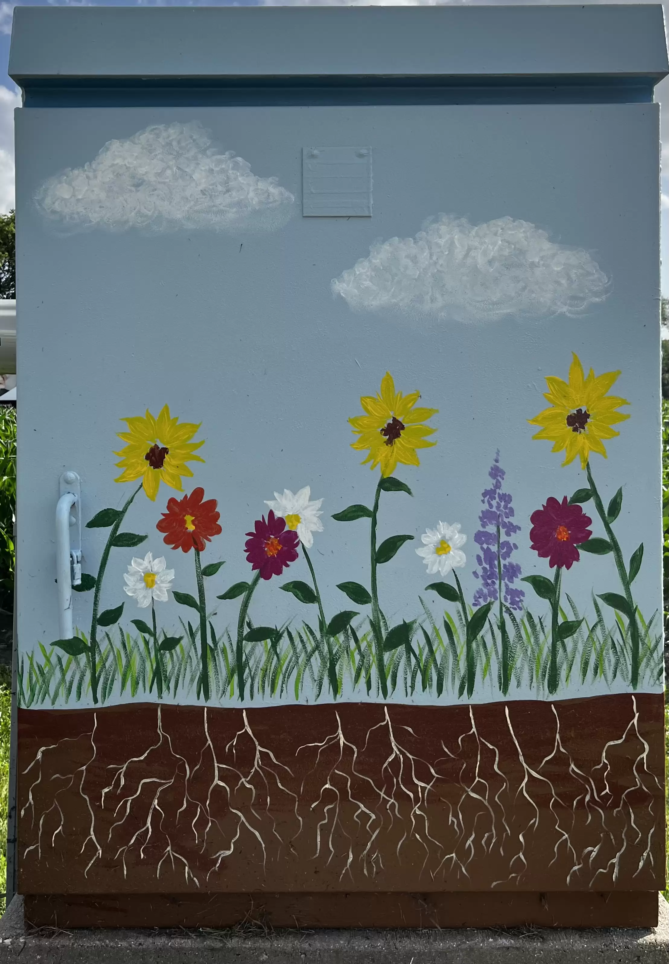 Box front