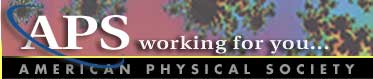 American Physical Society logo