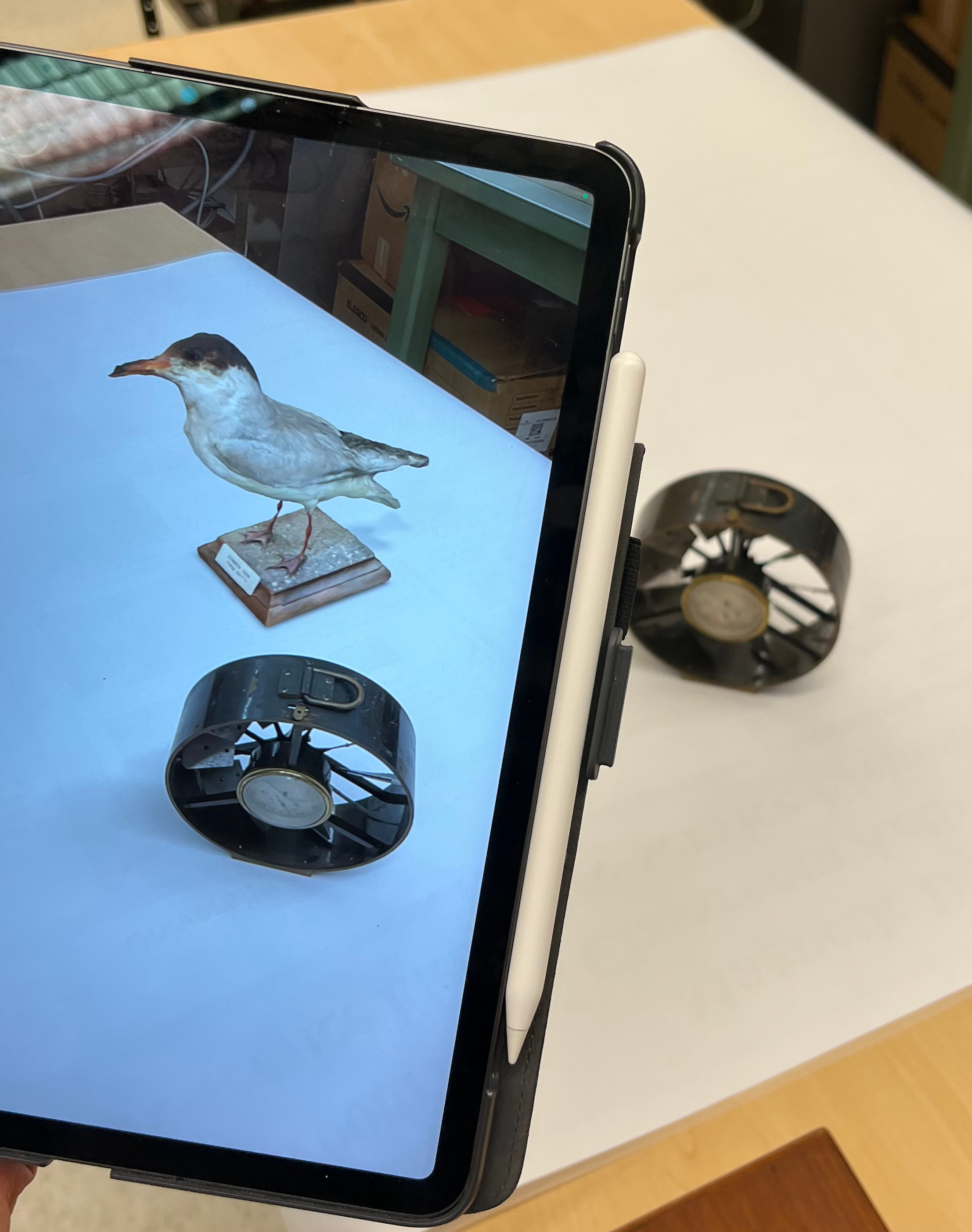View of iPad displaying AR object